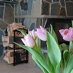شاليه Tatra West Farm Dzianisz
