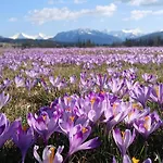 Tatra West Farm