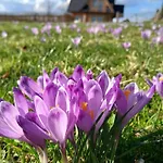 Tatra West Farm Dzianisz