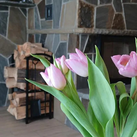 Alpehytte Tatra West Farm Dzianisz