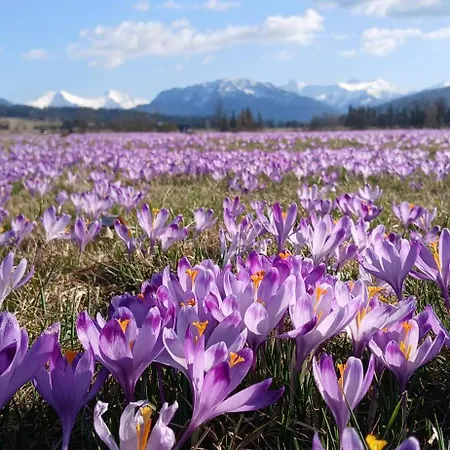 Tatra West Farm
