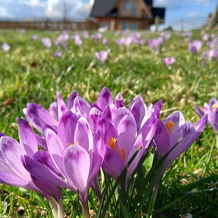 Tatra West Farm Dzianisz