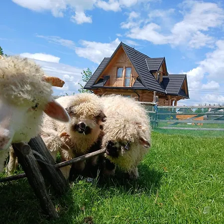 Tatra West Farm Dzianisz