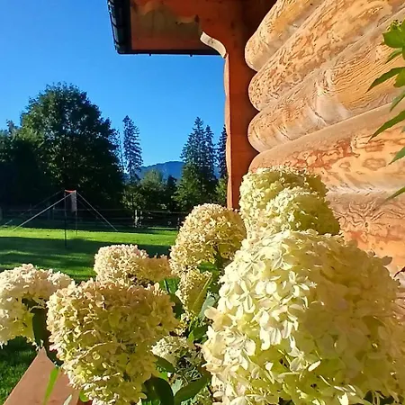 Tatra West Farm Chalé Dzianisz
