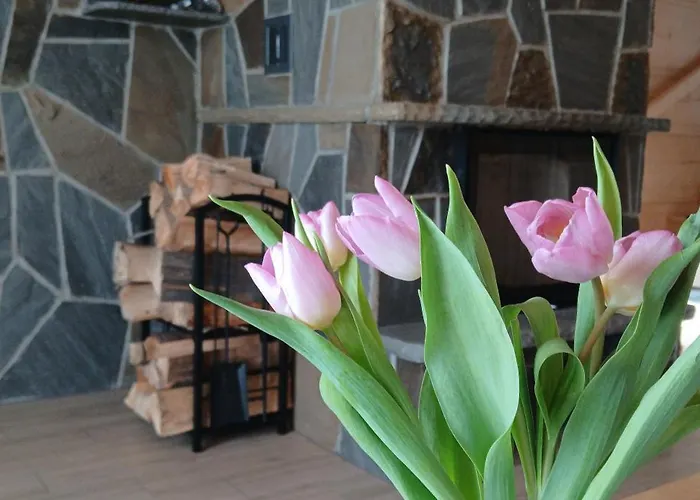 Alpesi faház Tatra West Farm Dzianisz