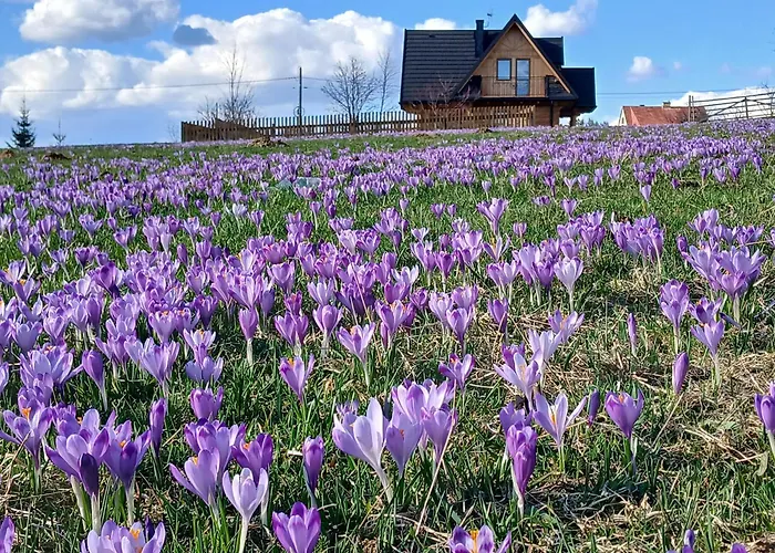 Tatra West Farm Alpesi faház *