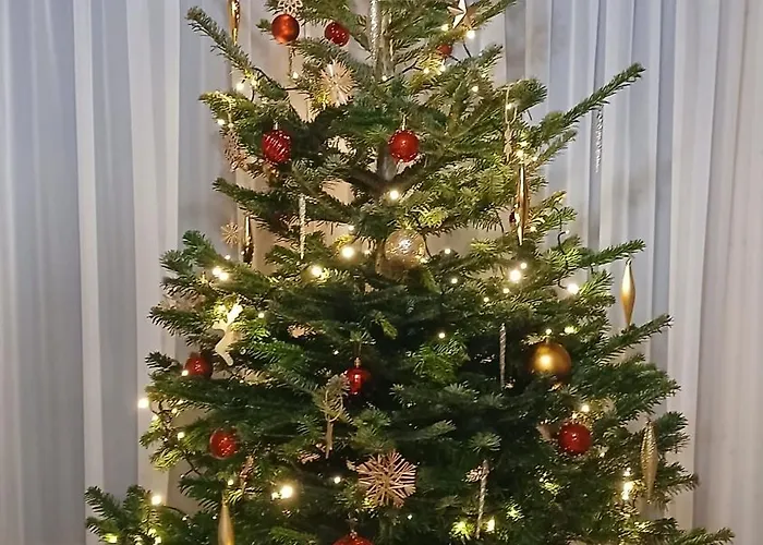 Tatra West Farm Alpesi faház Dzianisz